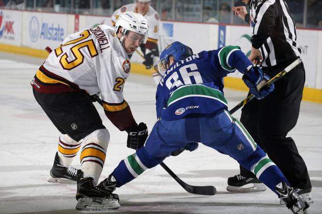 Chicago Wolves vs. Utica Comets