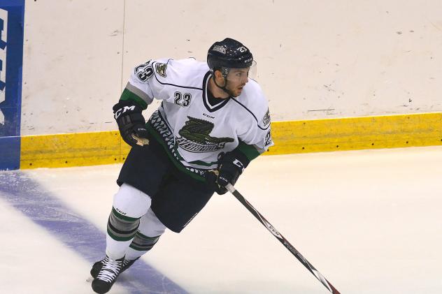 Florida Everblades vs. Orlando Solar Bears