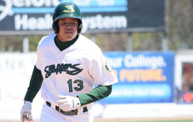Beloit Snappers in Action