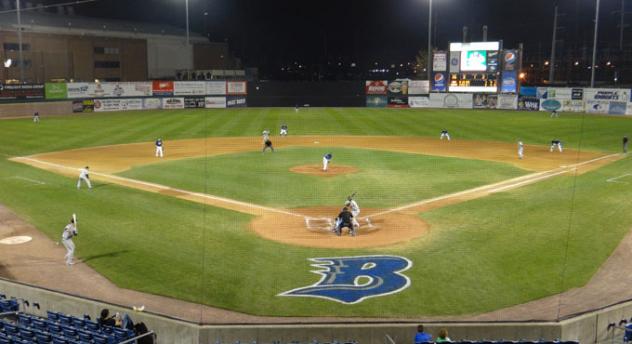 Long Island Ducks at Bridgeport Bluefish