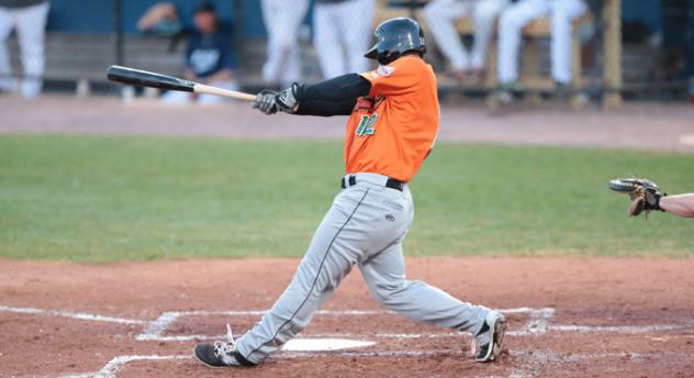 Dan Lyons of the Long Island Ducks