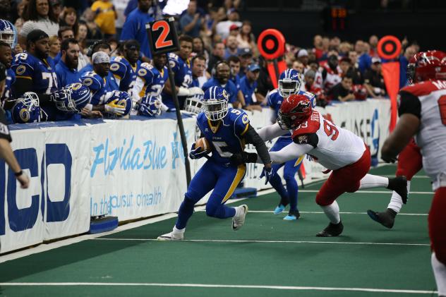 Tampa Bay Storm Defensive Back James Harrell