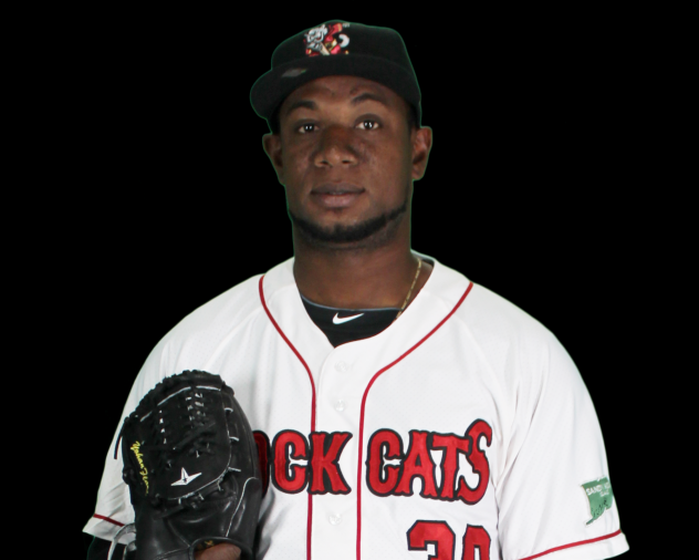 New Britain Rock Cats LHP Yohan Flande