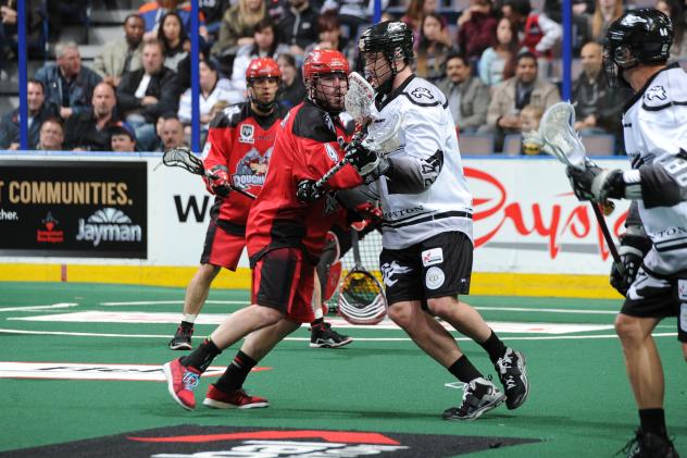 Edmonton Rush vs. Calgary Roughnecks