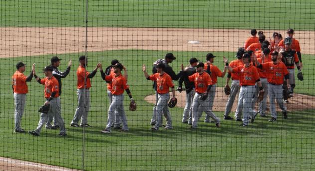 Long Island Ducks Give High Fives after Win