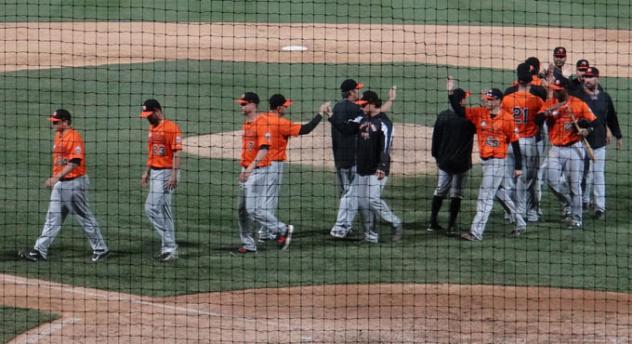 Long Island Ducks Give High Fives after Win