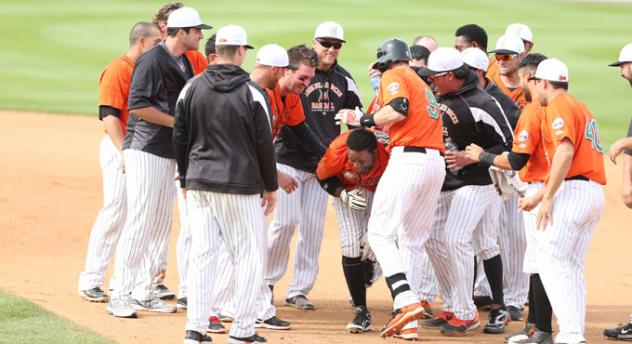 Prentice Redman Congratulated by Long Island Ducks Teammates