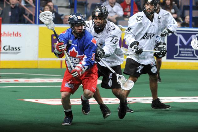 Edmonton Rush vs. Toronto Rock
