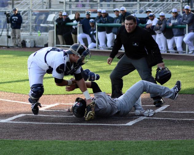 Duluth Huskies vs. Thunder Bay Border Cats Play at the Plate