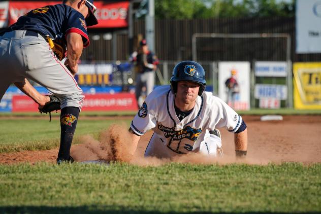 Kalamazoo Growlers Slide