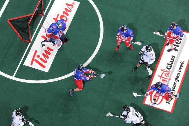 Edmonton Rush vs. Toronto Rock