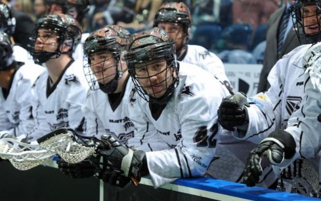 Edmonton Rush Bench