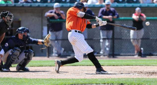 Reegie Corona at Bat for the Long Island Ducks