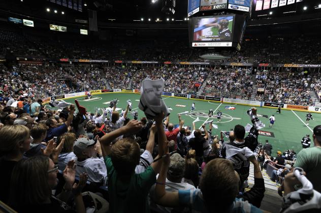 Edmonton Rush Fans