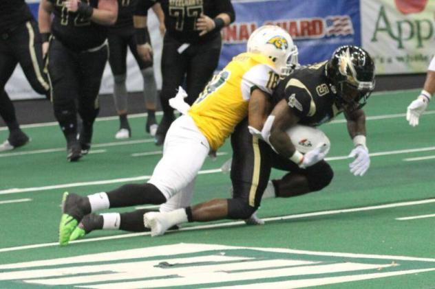 Lehigh Valley Steelhawks vs. Alabama Hammers