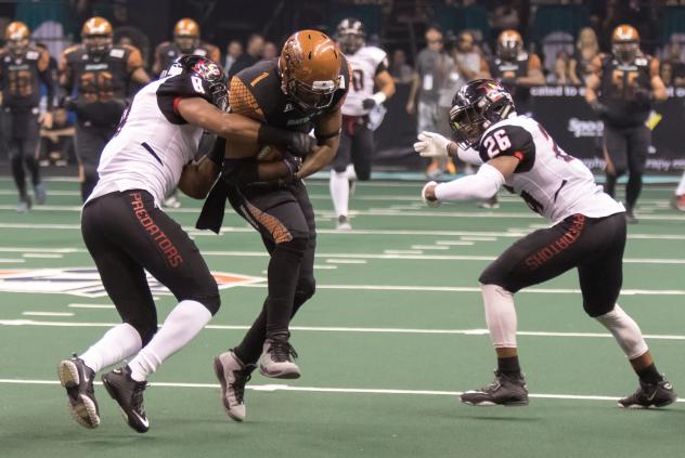 Orlando Predators vs. Arizona Rattlers