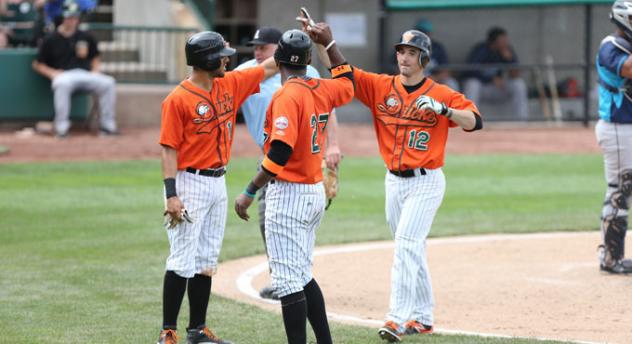 Long Island Ducks Celebrate Dan Lyons' Home Run