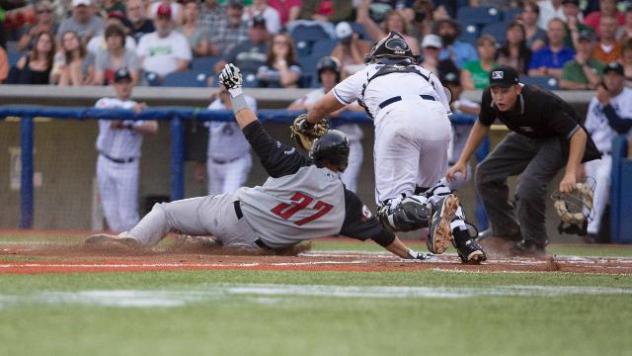 Chase Compton Slides in Safely for a Salem-Keizer Volcanoes' Run