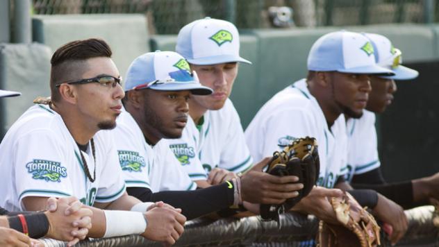 Daytona Tortugas on the Bench