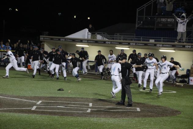 Lakeshore Chinooks Celebrate Walk-Off Win
