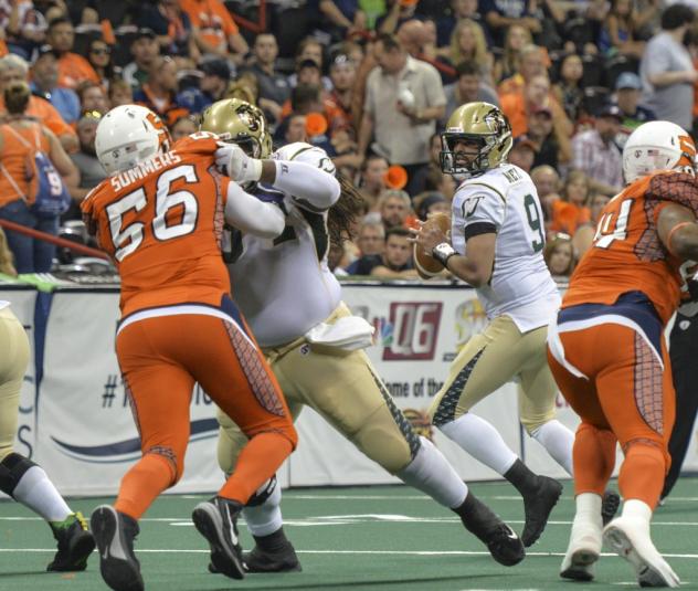 San Jose Sabercats vs. Spokane Shock