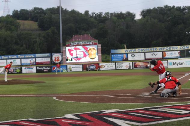 David Popkins at Bat for the Washington Wild Things