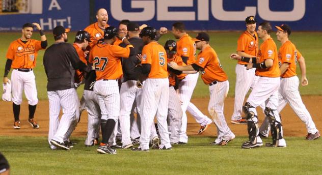 Long Island Ducks Celebrate Walk-Off Win