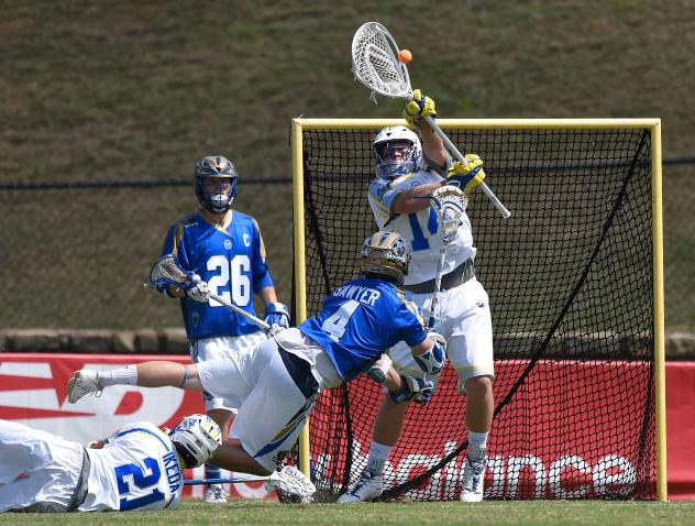 Charlotte Hounds vs. Florida Launch