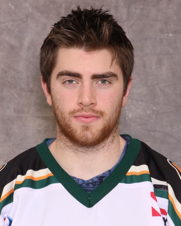 Quad City Mallards Forward Matt Neal