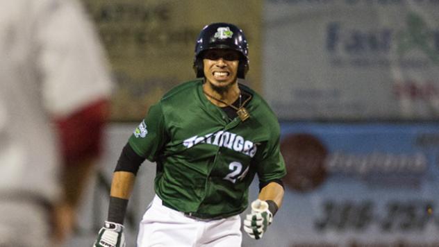 Daytona Tortugas DH Sebastian Elizalde