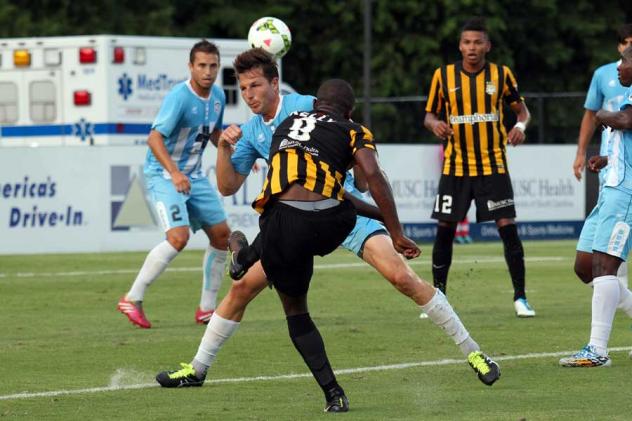 Dane Kelly of the Charleston Batters vs. the Wilmington Hammerheads