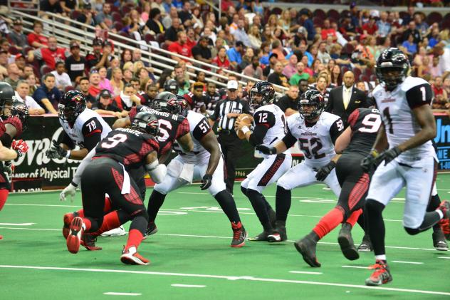 Orlando Predators QB Randy Hippeard vs. the Cleveland Gladiators