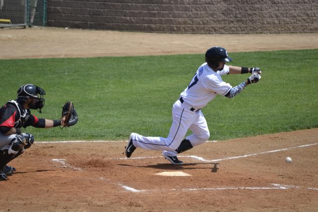 Sioux Falls Canaries Lay down a Bunt