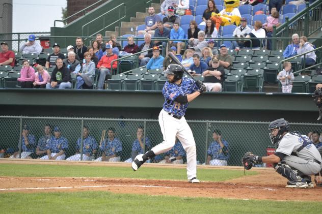Sioux Falls Canaries Batting