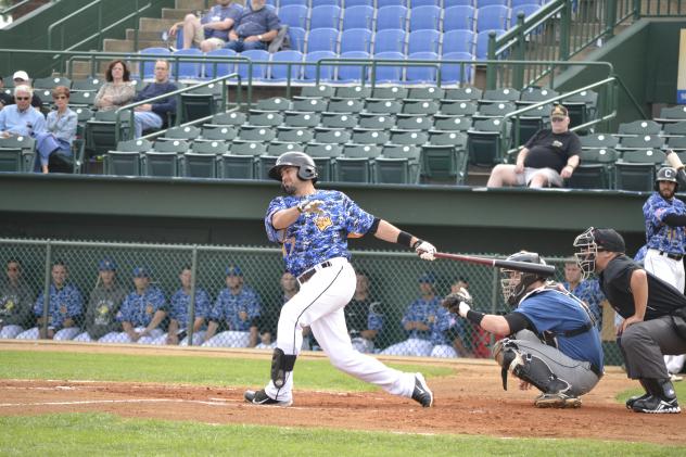 Sioux Falls Canaries at the Plate
