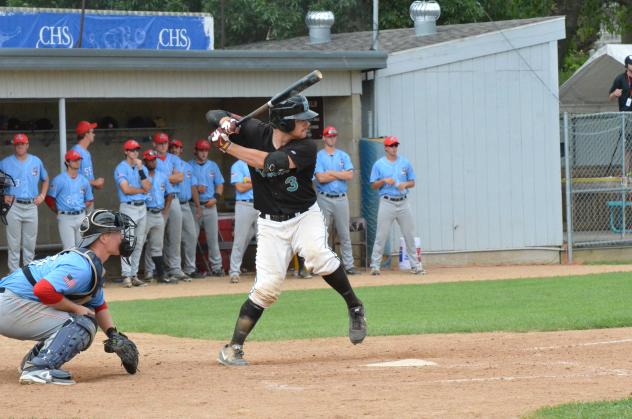 Matt Fiedler of the Rochester Honkers