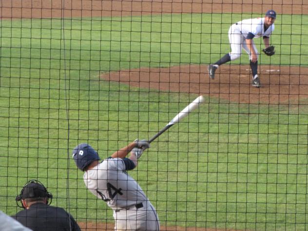 Justin Flores of the Kelowna Falcons at Bat