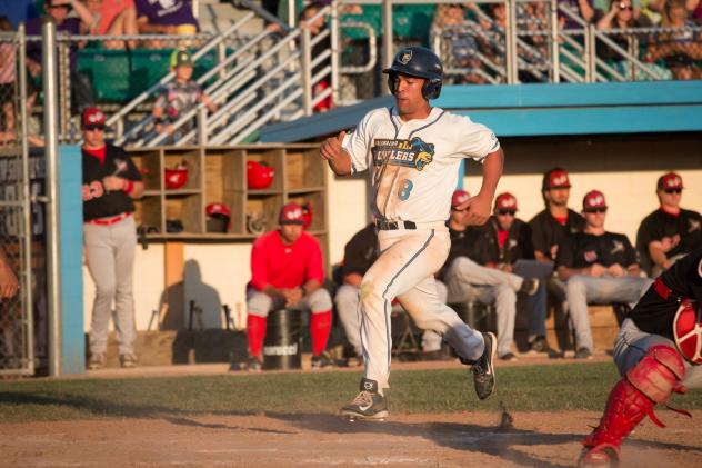 Angelo Armenta of the Kalamazoo Growlers