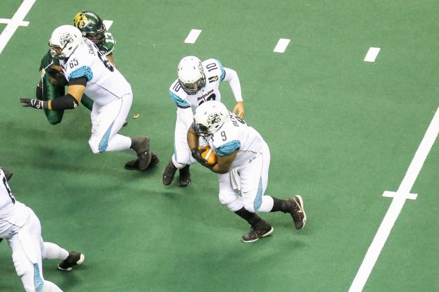 Arizona Rattlers vs. San Jose SaberCats
