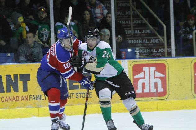 Forward Collin Valcourt with the Prince Albert Raiders