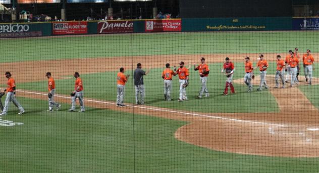Long Island Ducks Give High Fives at Sugar Land