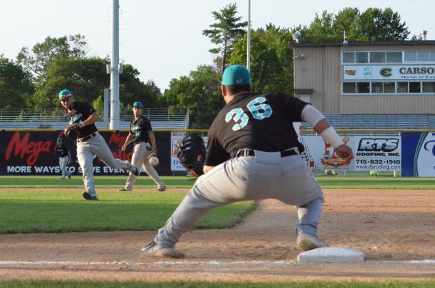 Rochester Honkers in Action