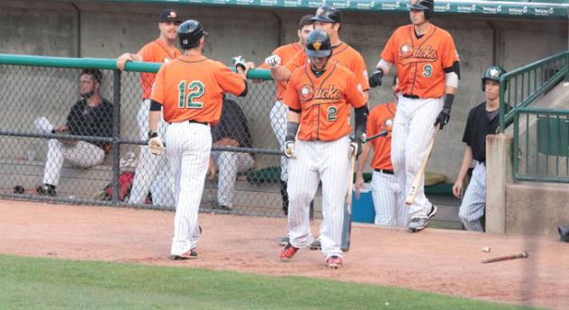Long Island Ducks Dugout Celebration
