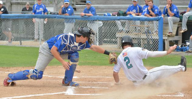 Edenton Steamers vs. Wilmington Sharks