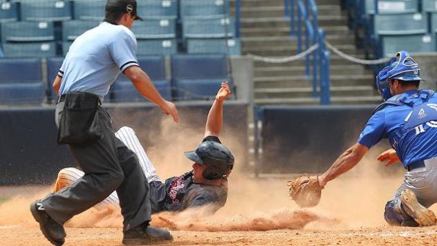 Michael O'Neill of the Tampa Yankees