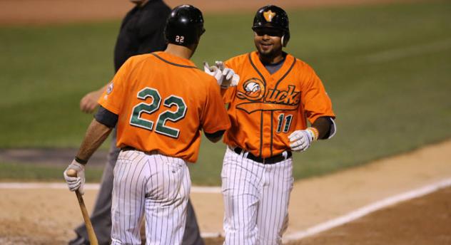 Fehlandt Lentini Greets Elmer Reyes at the Plate for the Long Island Ducks