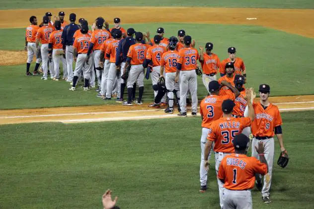 Greeneville Astros Celebrate Playoff Win