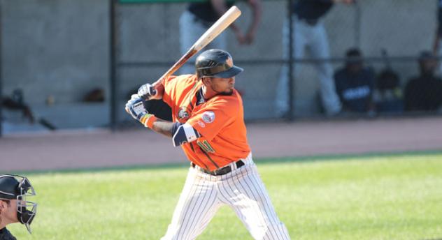 Elmer Reyes of the Long Island Ducks