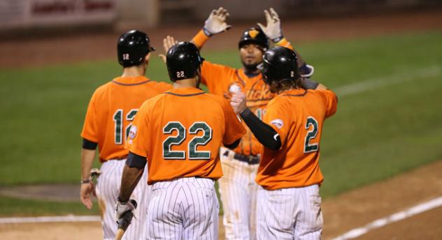 Long Island Ducks Celebrate Elmer Reyes' Home Run