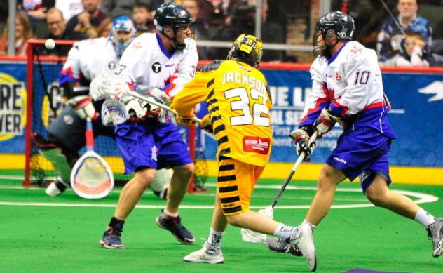 Georgia Swarm Forward Shayne Jackson